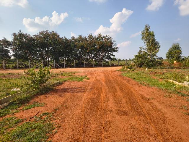 Land for sale in Sidlaghatta, Chikkaballapura