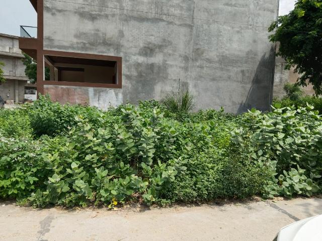 Land for sale in Tora, Arunachal Pradesh