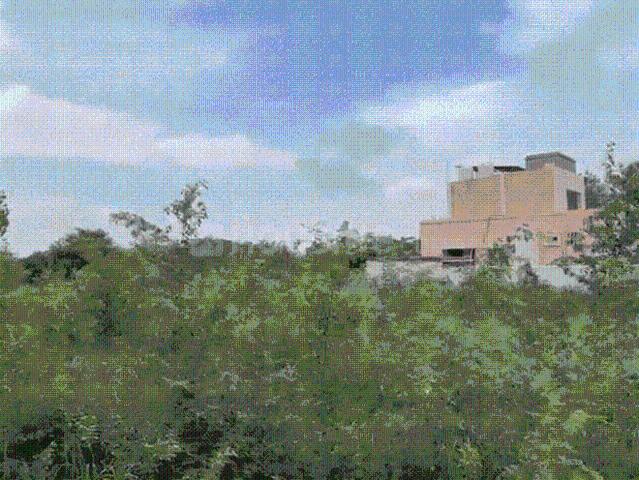 Land for sale in Angara, Jharkhand