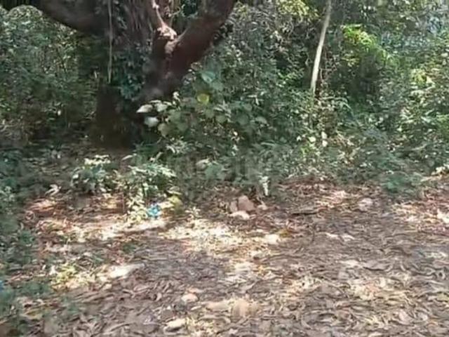Land for sale in Goa