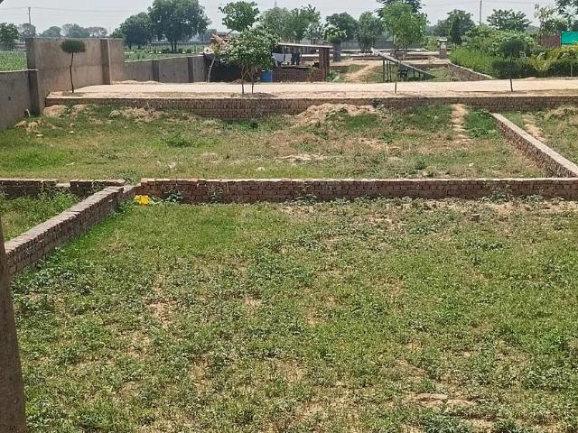 Land for sale in Tora, Arunachal Pradesh