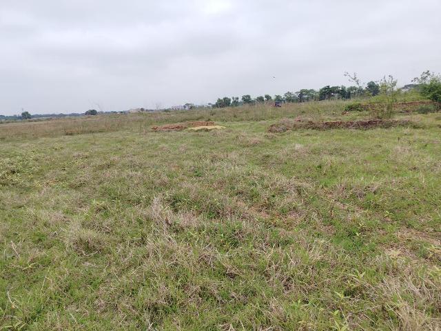 Land for sale in Puri District