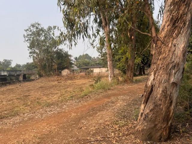Land for sale in Durg, Chhattisgarh