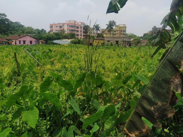 Land for sale in North 24 Parganas, Khardaha