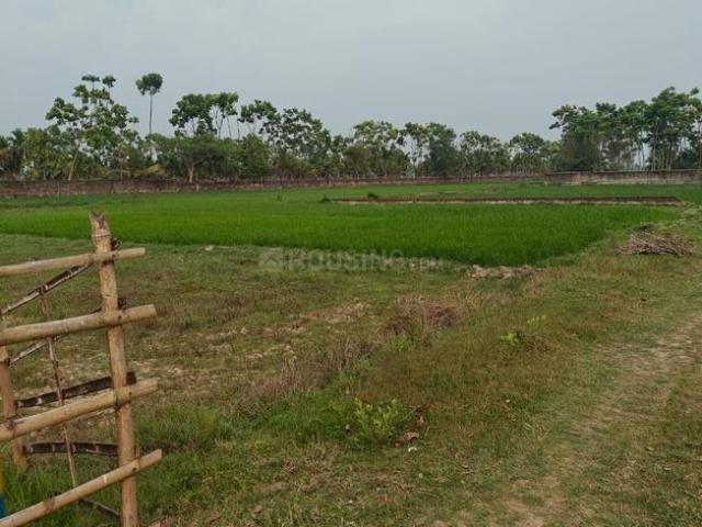 Land for sale in Kamrabad, Rajpur Sonarpur