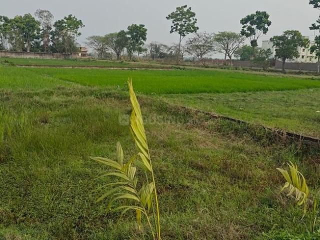 Land for sale in Kamrabad, Rajpur Sonarpur
