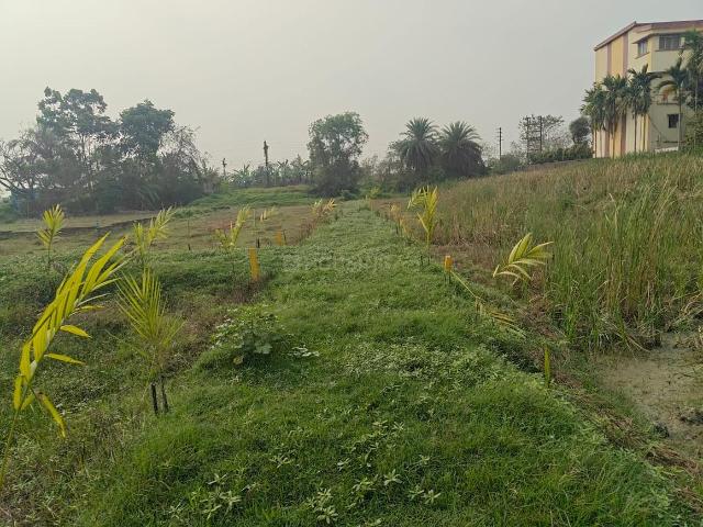 Land for sale in Kamrabad, Rajpur Sonarpur