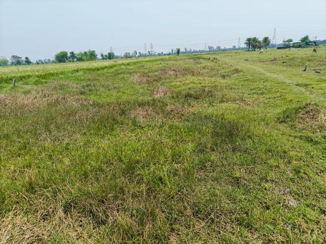 Land for sale in Kamrabad, Rajpur Sonarpur