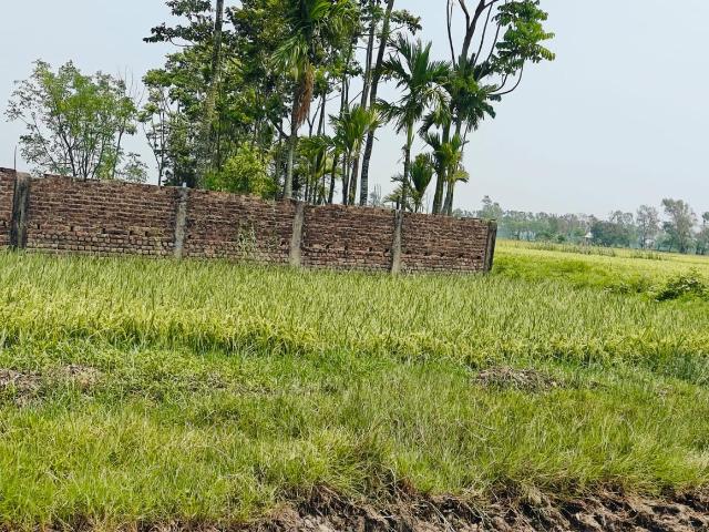Land for sale in Kamrabad, Rajpur Sonarpur