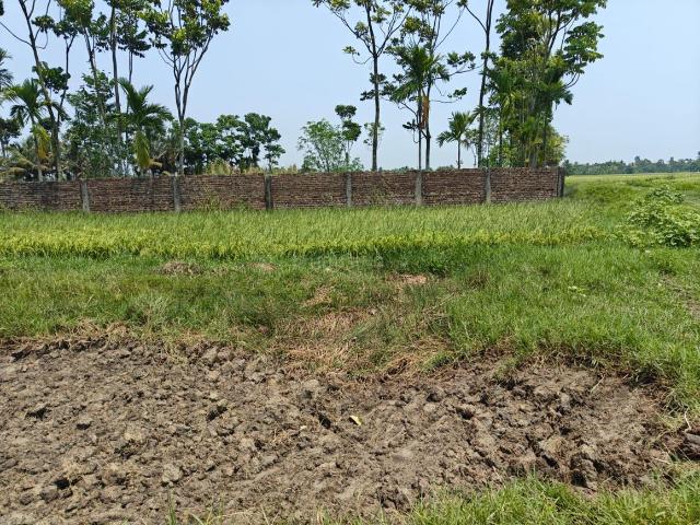 Land for sale in Kamrabad, Rajpur Sonarpur