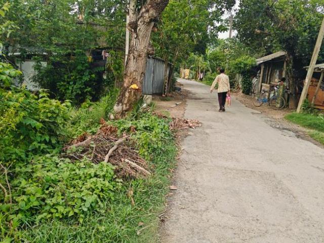 Land for sale in Kamrabad, Rajpur Sonarpur