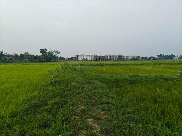 Land for sale in Kamrabad, Rajpur Sonarpur