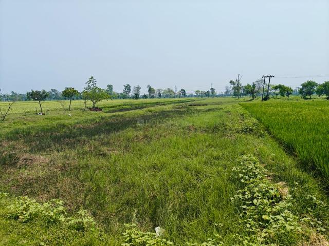 Land for sale in Kamrabad, Rajpur Sonarpur