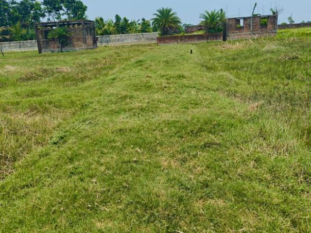 Land for sale in Kamrabad, Rajpur Sonarpur