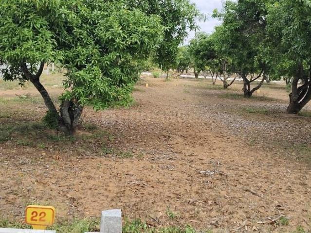 Land for sale in Srinivaspur, Karnataka