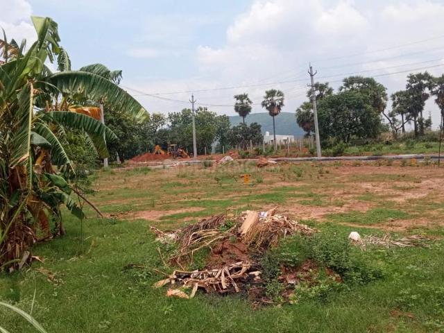 Land for sale in Srungavarapukota, Andhra Pradesh