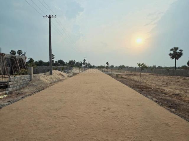 Land for sale in Potti, Andhra Pradesh
