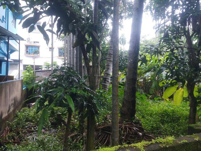 Land for sale in Subhashgram, Rajpur Sonarpur