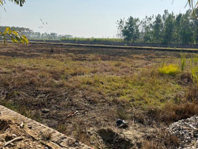 Land for sale in Kedarpur, Uttarakhand