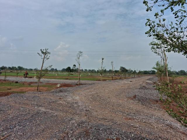 Land for sale in Chhattisgarh