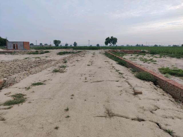 Land for sale in Arunachal Pradesh