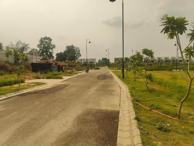 Land for sale in Mohanlalganj, Arunachal Pradesh