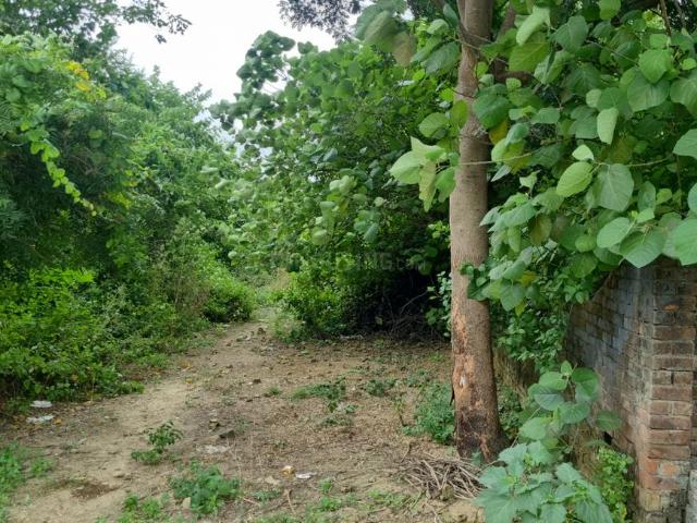 Land for sale in Lucknow, Uttar Pradesh