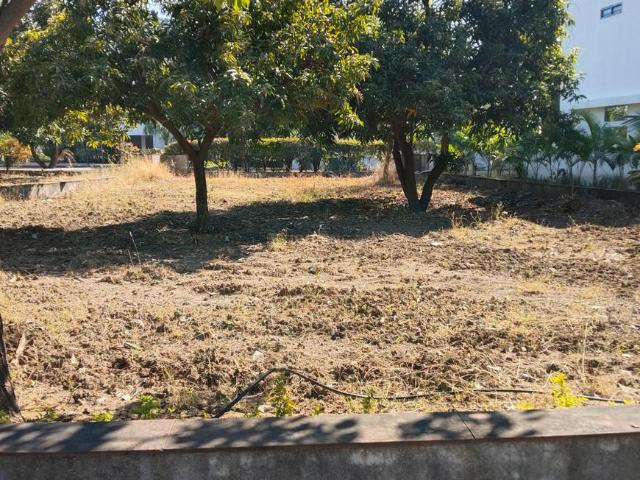 Land for sale in Tilakwada, Gujarat