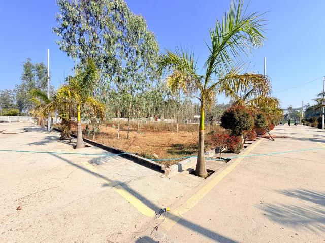 Land for sale in Behat, Arunachal Pradesh