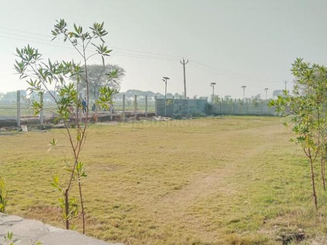 Land for sale in Mathara, Arunachal Pradesh