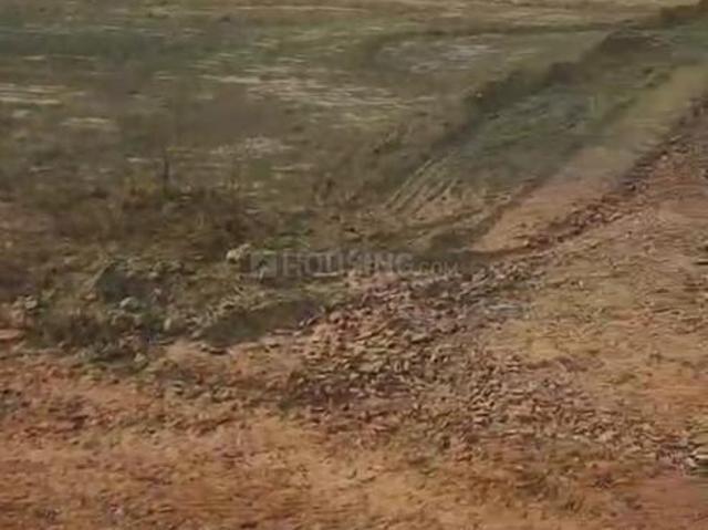 Land for sale in Mathara, Arunachal Pradesh