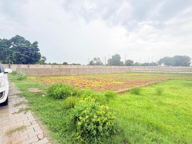 Land for sale in Mathara, Arunachal Pradesh