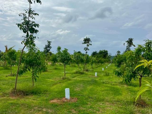 Land for sale in Ranga Reddy, Surangal