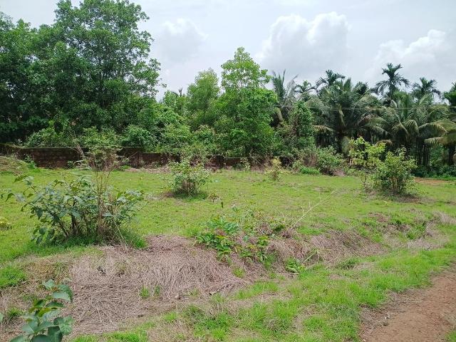 Land for sale in Suratkal, Karnataka
