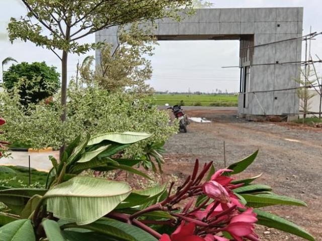 Land for sale in Tadepalle, Padmasaleela Bazar