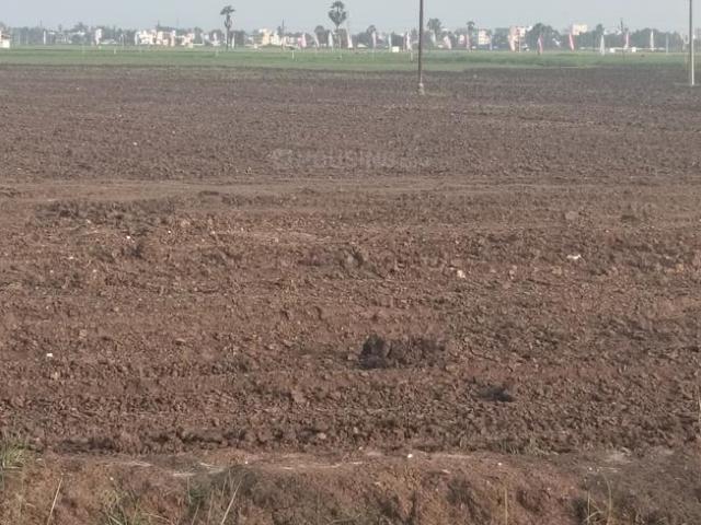 Land for sale in Tadepalle, Padmasaleela Bazar