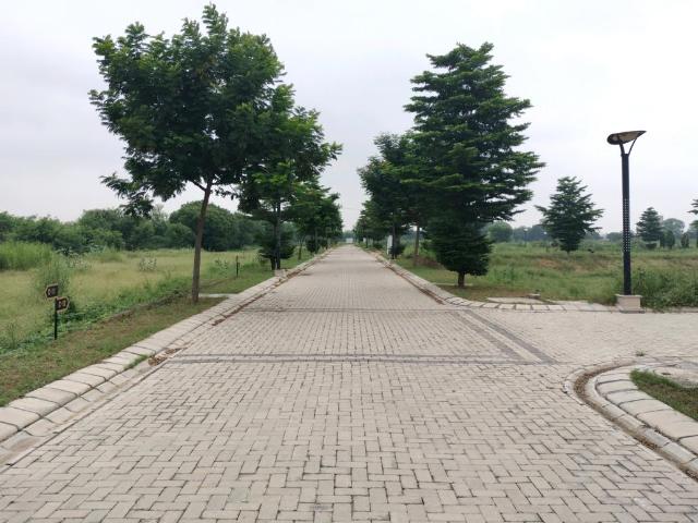 Land for sale in Hariana