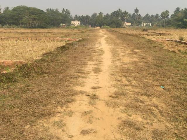 Land for sale in Balianta