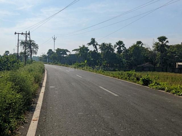Land for sale in Tardaha Kapasati, South 24 Parganas