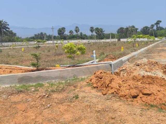 Land for sale in Tarluvada SC Colony, Tarluvada