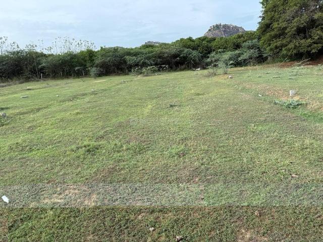 Land for sale in STV Nagar, Tirupati