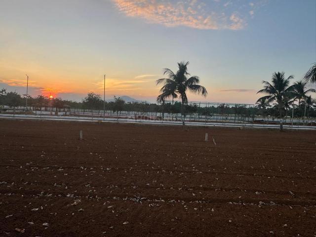 Land for sale in Adarsanagar, Tagarapuvalasa