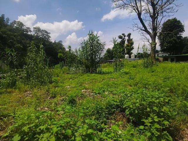 Land for sale in Kandogal, Thano