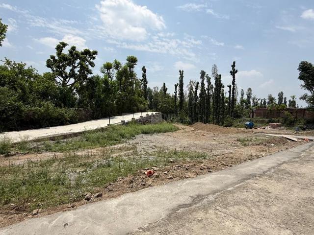 Land for sale in Kandogal, Thano