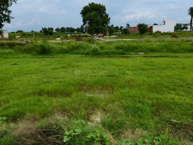 Land for sale in Jharli, Arunachal Pradesh