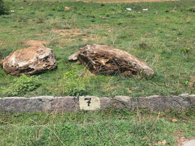 Land for sale in Bangalore South, Karnataka