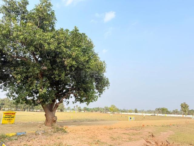 Land for sale in Tamil Nadu