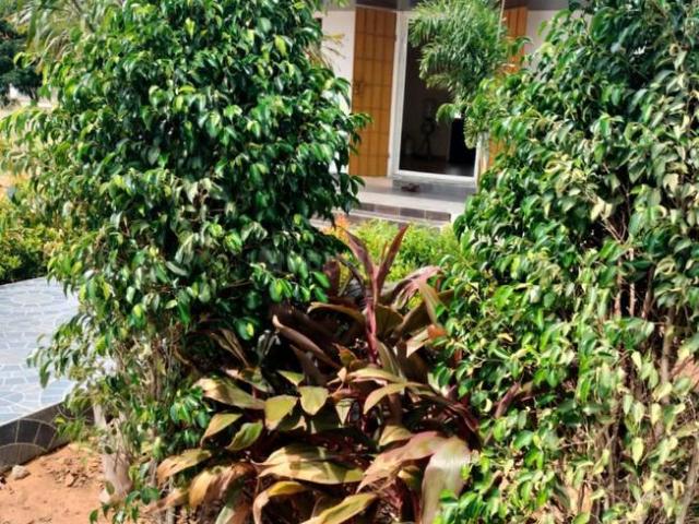 Land for sale in Tiruttani, Tamil Nadu