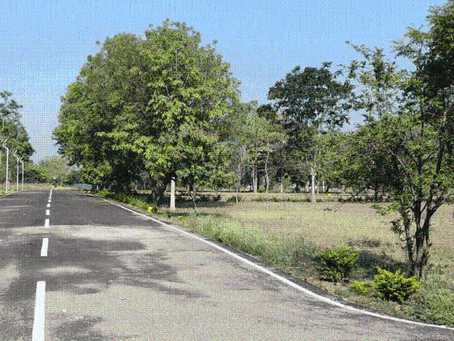 Land for sale in Tamil Nadu