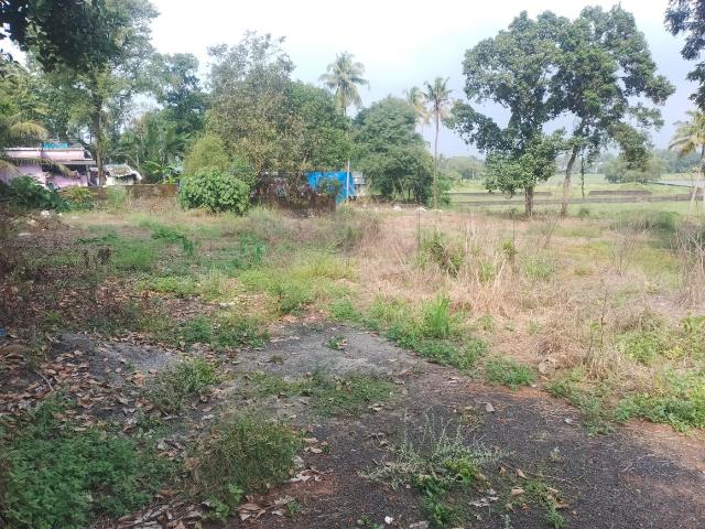 Land for sale in Cochin, Kerala